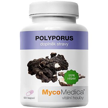 

MycoMedica Polyporus 90 kapslí
