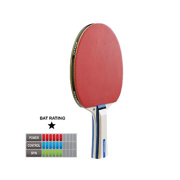 

Dunlop Rage
