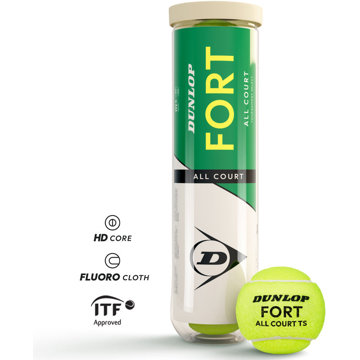 

Dunlop Fort All Court TS
