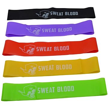 

Sweat Blood Mini Band Set