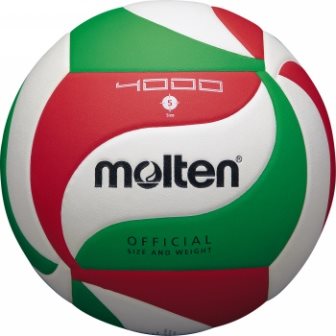 

Molten V5M4000