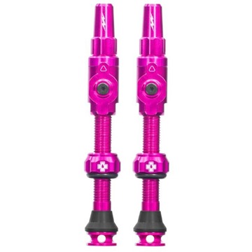 

Big Bore Lite Tubeless Valves Pink Large