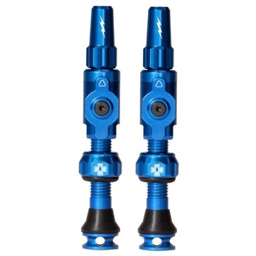 

Big Bore Lite Tubeless Valves Blue Medium