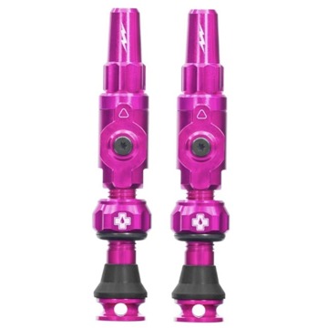 

Big Bore Lite Tubeless Valves Pink Small