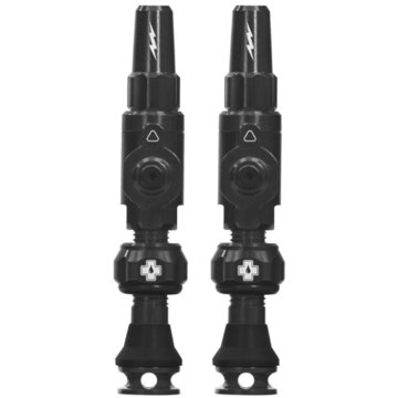 

Big Bore Lite Tubeless Valves Black Small