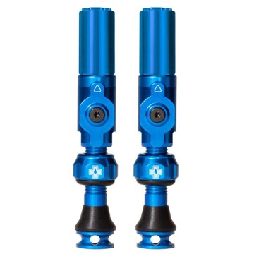

Big Bore Hybrid Tubeless Valves Blue Small