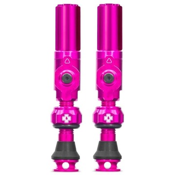 

Big Bore Hybrid Tubeless Valves Pink Small