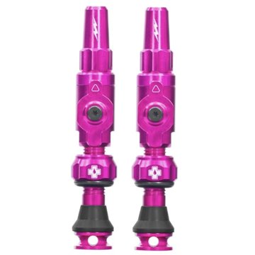

Big Bore Hybrid Tubeless Valves Pink Large
