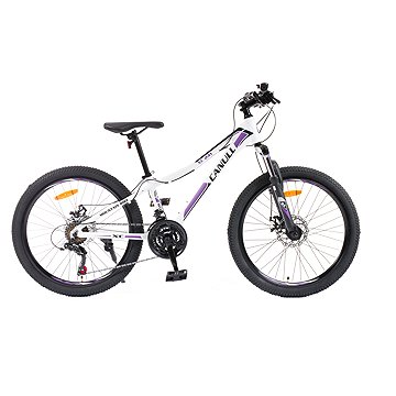 

Canull XC 241 bílá/fialová 24"