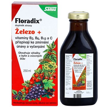 

SALUS Floradix 250 ml