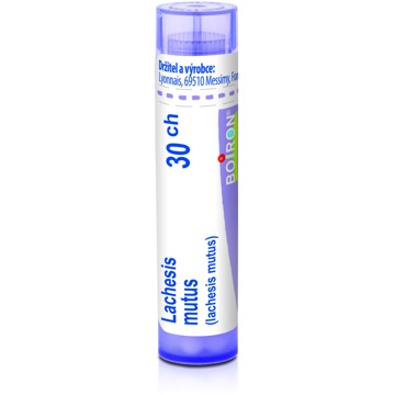 

Lachesis Mutus 30CH granule 4 g