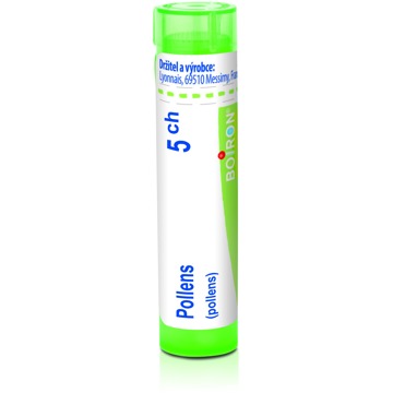 

Pollens 5CH granule 4 g