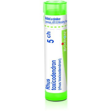 

Rhus Toxicodendron 5CH granule 4 g
