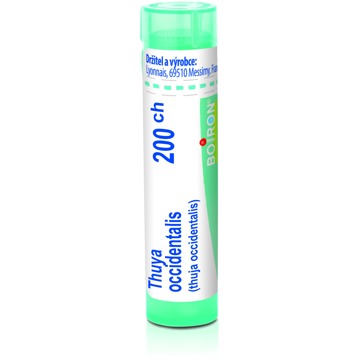

Thuya Occidentalis 200CH granule 4 g