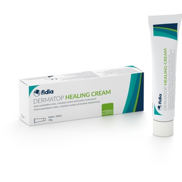 

DERMATOP Healing Cream 25 g