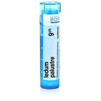 

Ledum Palustre 9CH granule 4 g