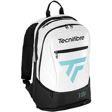 

Tecnifibre Tour Endurance white/blue
