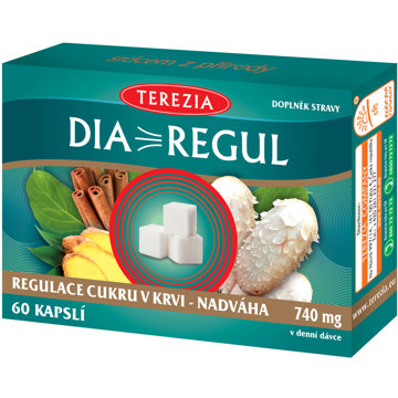 

TEREZIA Diaregul 60 kapslí