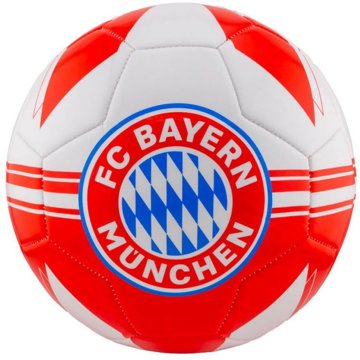 

FC Bayern Mnichov: Logo