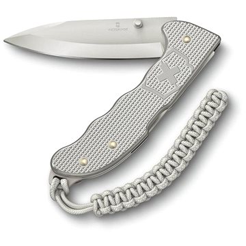 

Victorinox Evoke Alox, silver