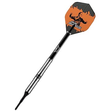 

Bull's NL Šipky Dirk van Duijvenbode - 18g