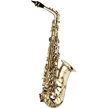 

Stagg WS-AS215S