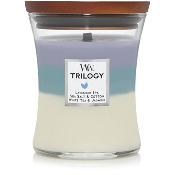 

WOODWICK Calming Retreat 275 g