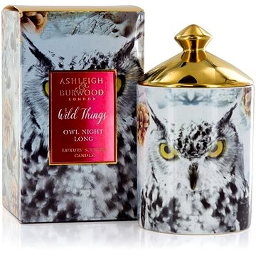 

ASHLEIGH & BURWOOD WILD THINGS - WHITE CHRISTMAS (bílé vánoce), 320g, OWL NIGHT LONG