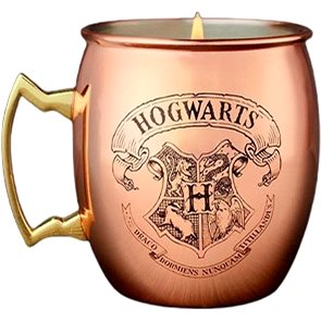

Charmed Aroma Harry Potter Copper - Měděný hrnek 396 g + stříbrný náhrdelník 1 ks