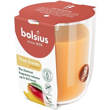 

BOLSIUS Mango 25 h