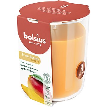 

BOLSIUS Mango 45 h