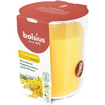 

BOLSIUS Mimosa 45 h