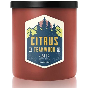 

COLONIAL CANDLE Citrus Teakwood 425 g