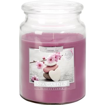 

BISPOL Aura Maxi Spa zahrada 500 g