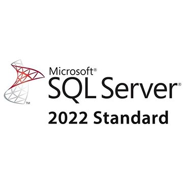 

Microsoft SQL Server 2022 - 1 User CAL