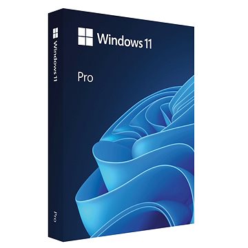 

Microsoft Windows 11 Pro, EN, USB (FPP)
