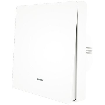 

MOES smart WIFI+RF433 switch