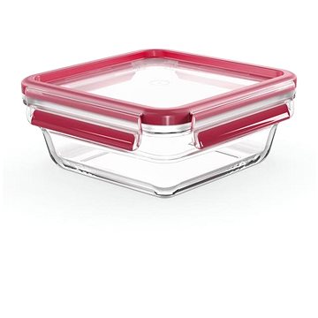

Tefal Dóza 0.8 l Master Seal Glass čtvercová N1041410