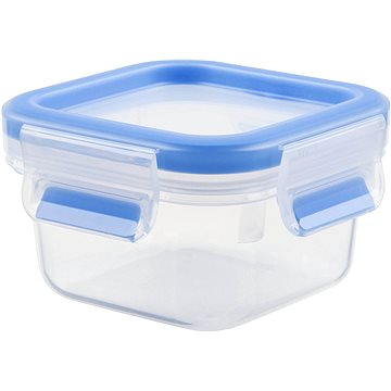 

Tefal Dóza 0.25l MASTER SEAL FRESH čtvercová K3021612