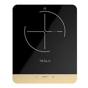 

Tesla IC401B