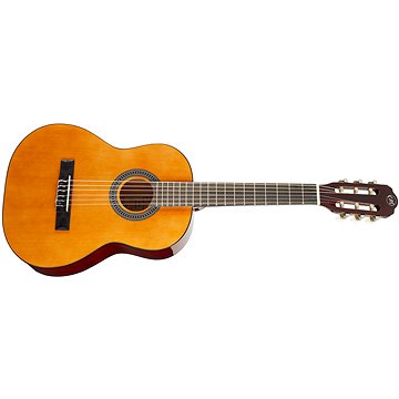 

TANGLEWOOD EM C1