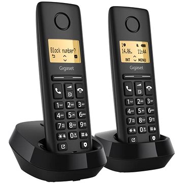 

Gigaset PURE 100 Duo