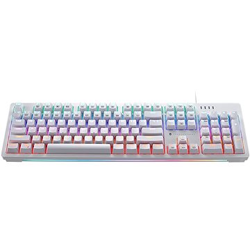 

ThundeRobot Wired Mechanical Keyboard Red switch KG3104R - US