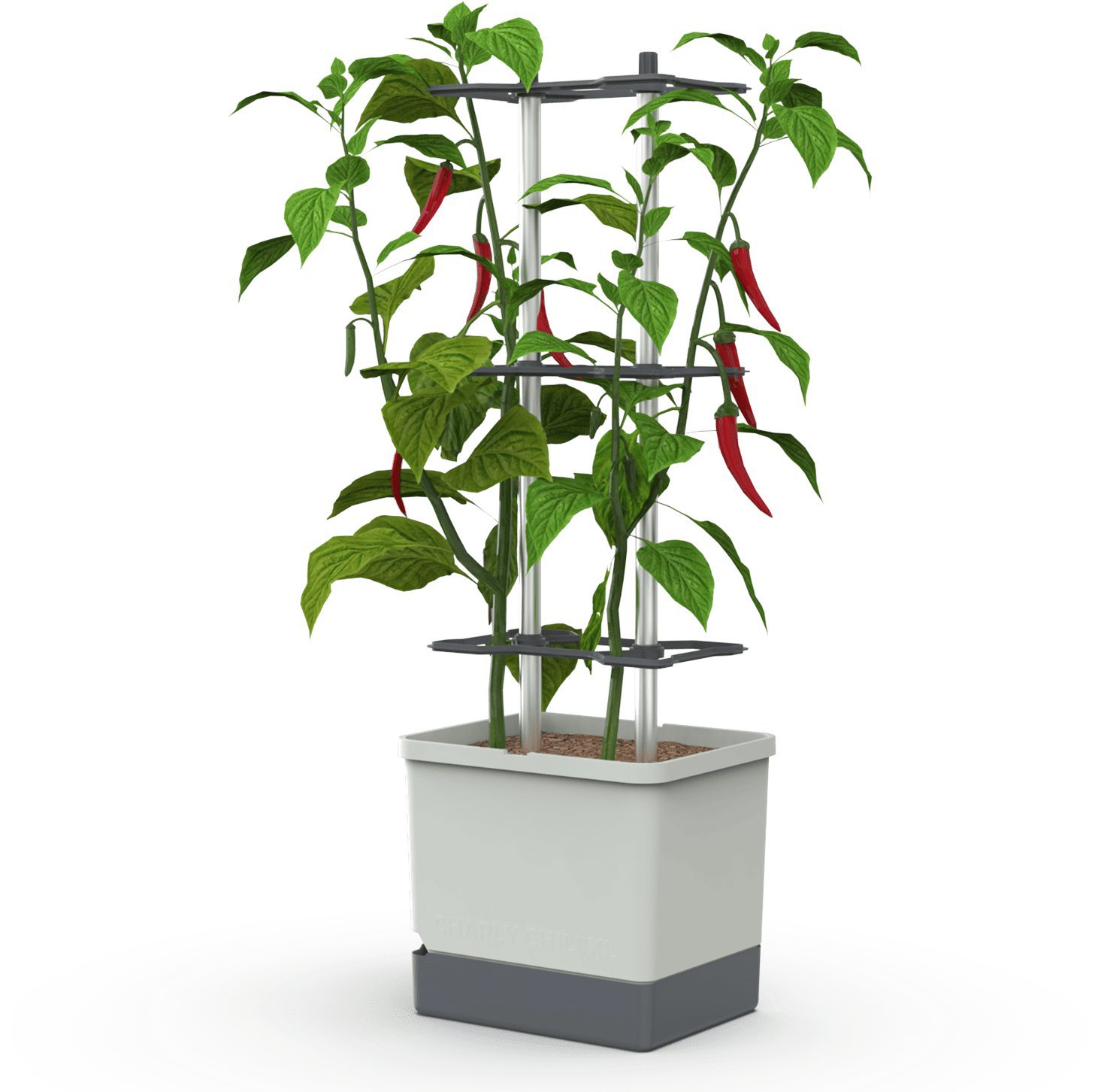 

Gusta Garden CHARLY CHILI XL samozavlažovací, světle šedý