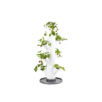 

Gusta Garden SISSI STRAWBERRY starter samozavlažovací truhlík 4 patra, bílý