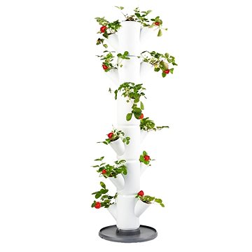 

Gusta Garden SISSI STRAWBERRY classic samozavlažovací truhlík 6 pater bílý