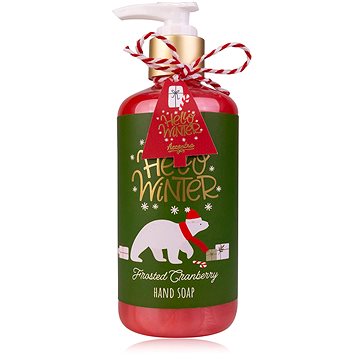 

ACCENTRA Hello Winter s pumpičkou 290 ml