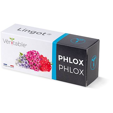 

Véritable Lingot Flox