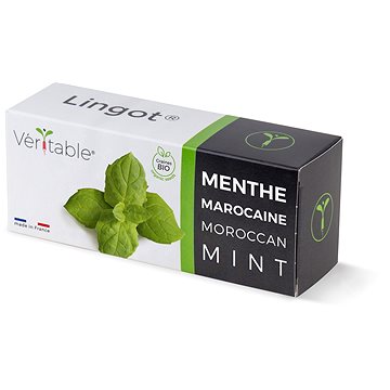 

Véritable Lingot Marocká máta - BIO