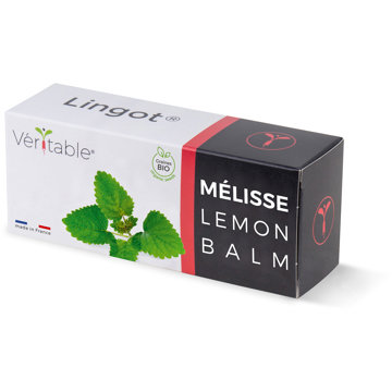 

Véritable Lingot Meduňka lékařská - BIO
